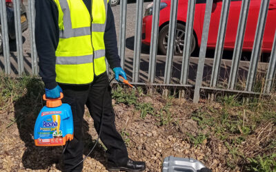 Kerb Appeal at Tyne & Wear Oils